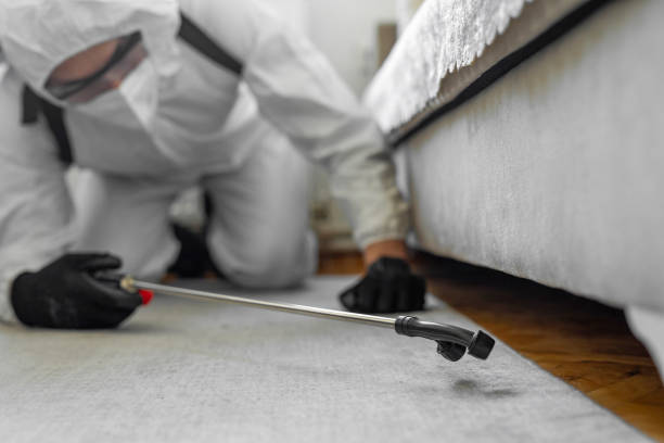 Professional Cockroach Control technician working in Reno, OH