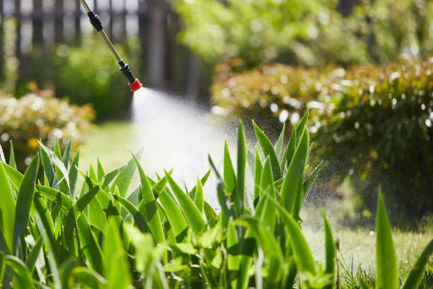 24/7 Emergency Cockroach Control experts in Reno, OH
