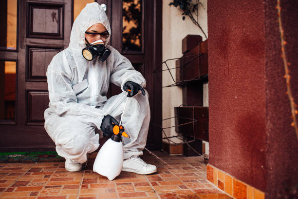 Reliable Cockroach Control contractor in Reno, OH by Nex Pest Control