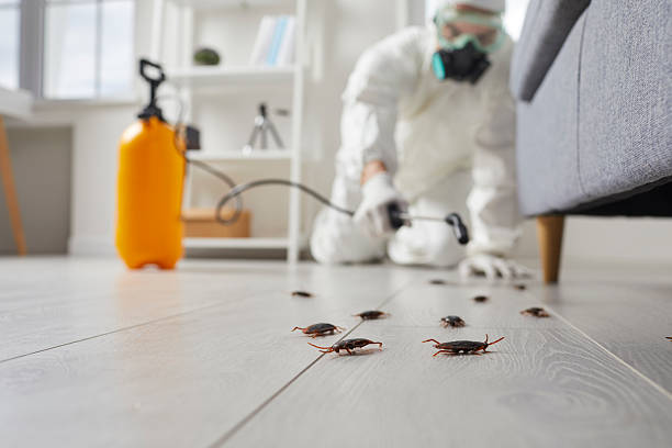 Trusted Fumigation Services service in Reno, OH - Nex Pest Control