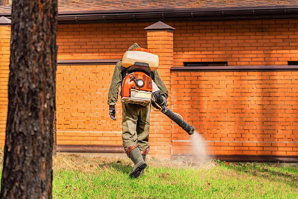 Trusted Rodent Control service in Reno, OH - Nex Pest Control